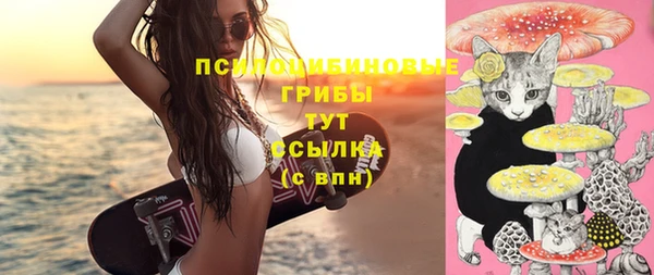 шишки Наволоки