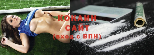 шишки Наволоки