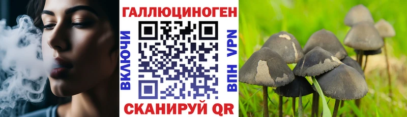 Псилоцибиновые грибы ЛСД  Навашино 